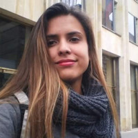 Alejandra Fernandez Vasquez