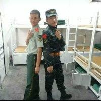 杨海强