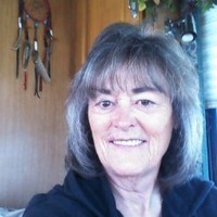 Vicki Cook