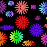 wazir sabir