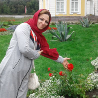 Nafiseh Zokaei