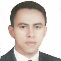 WALEED ELDEEB