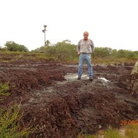 luis enrique cote corral