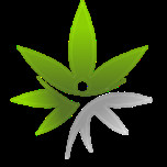 NM C