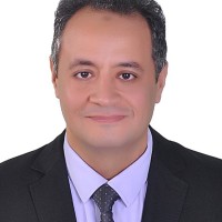Mohamed Helmy