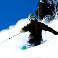 Nick Tesi