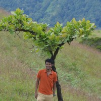 Udayakumar T