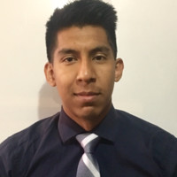 Luis Mota