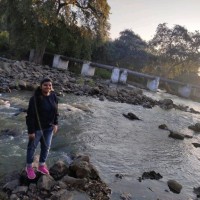 Ritu Rai
