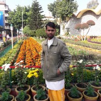 Pawan Kumar Shukla