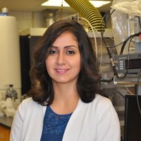 Fatemeh Abbasi, Phd