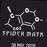 Spider Mask R.