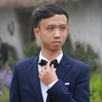 Duc Tran Viet