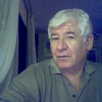 Avi Focsenianu