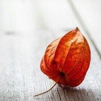 王慧娇