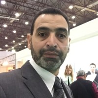 Salaheldin Halawa