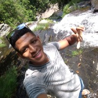 Reginaldo Assis