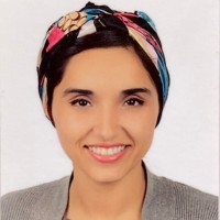 Nouran Hamed