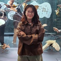 Duong Tuong