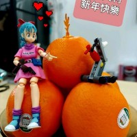 张磊明