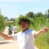 李留洋