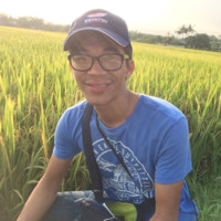 Toan Tran