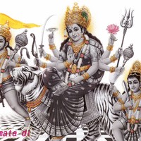 Vikas Singhaniya
