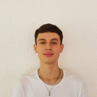 Nicolas Ceballos Brito