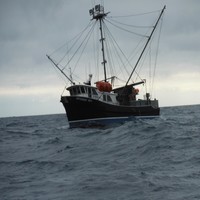 Peter De Greef