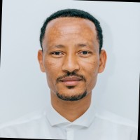 Minas Feseha Giorgis