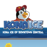 Kona Ice Of Atlanta Mona Roberts