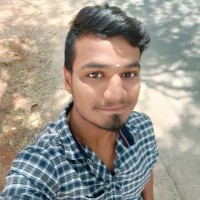 Saran Raj