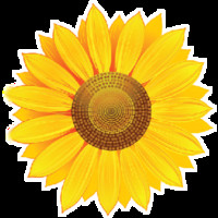 ITC Seeds