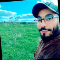 Bassem Hakim