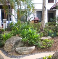 Vaishnavi Chandramohan