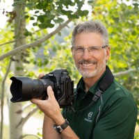 Bill Cotton
