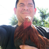 Abraham Gonzalez Perez
