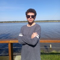 Leonardo Polese