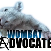 Sally Freeman-Greene