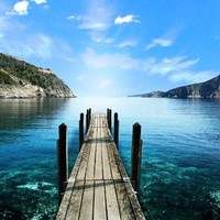 Harleen at ValueHire