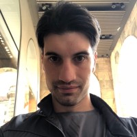 Gianluca Salamini