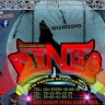 SONIDO DINGO