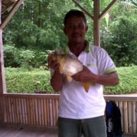 Tonny Hermawan