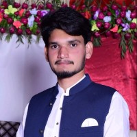 Talha Alvi