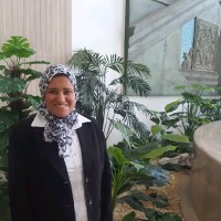 Iman Shuman