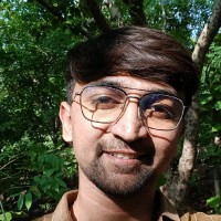 Parmar Ronak