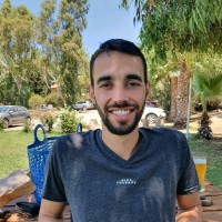 Omer Hollander