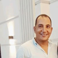 Ahmed M Elhouseny