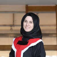 Ayse Nur Cakir