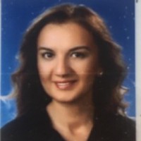 Fatma Nur Özçetin